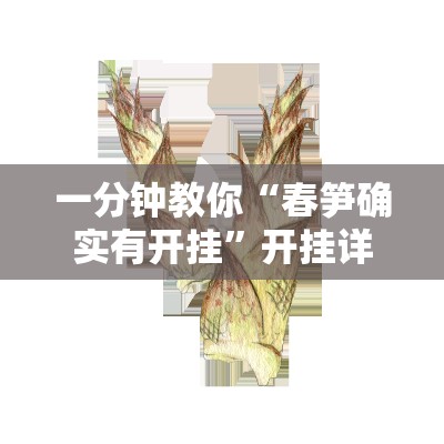 一分钟教你“春笋确实有开挂”开挂详细方法