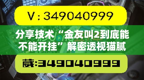 分享技术“金友叫2到底能不能开挂”解密透视猫腻