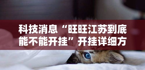 科技消息“旺旺江苏到底能不能开挂	”开挂详细方法
