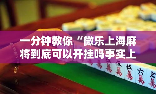 一分钟教你“微乐上海麻将到底可以开挂吗事实上确实有挂