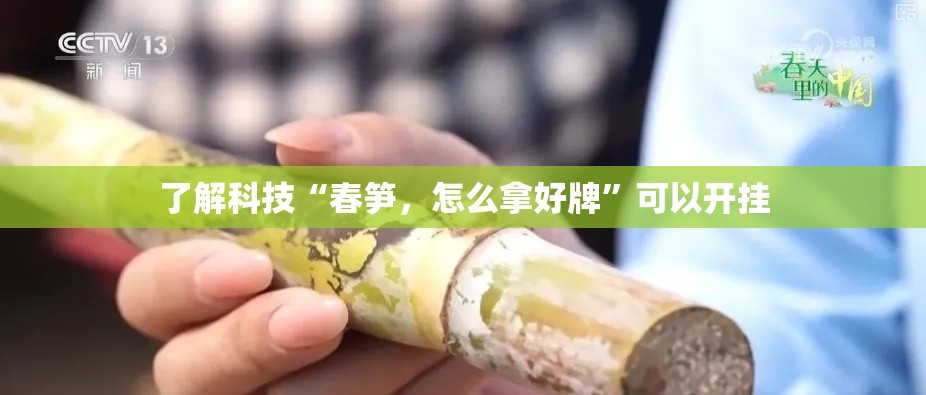 了解科技“春笋	，怎么拿好牌	”可以开挂