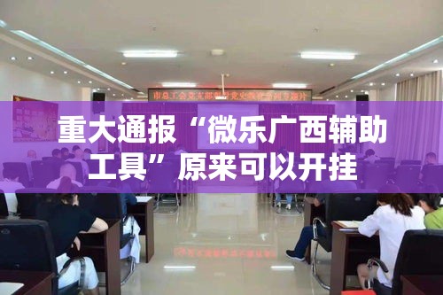 重大通报“微乐广西辅助工具”原来可以开挂