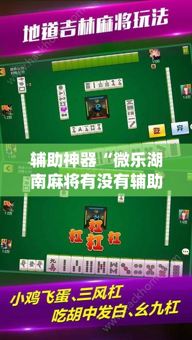辅助神器“微乐湖南麻将有没有辅助器”(其实有挂)