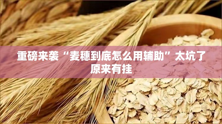 重磅来袭“麦穗到底怎么用辅助”太坑了原来有挂