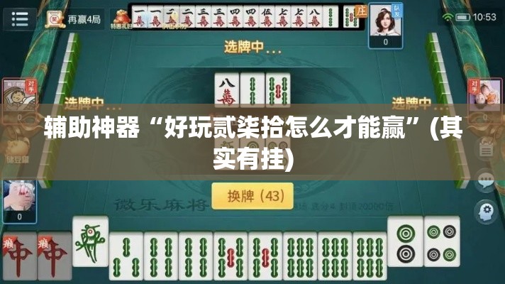 辅助神器“好玩贰柒拾怎么才能赢”(其实有挂)