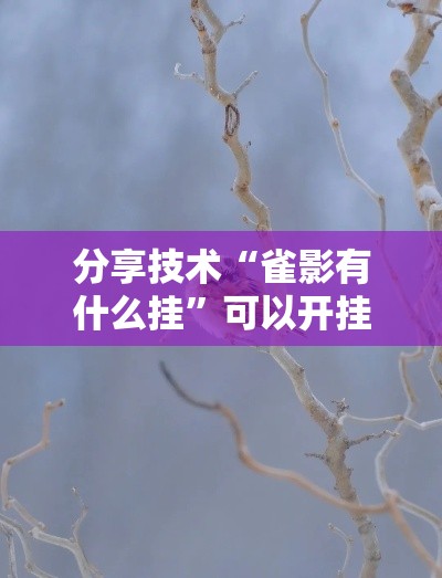 分享技术“雀影有什么挂	”可以开挂