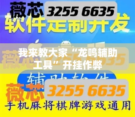 我来教大家“龙鸣辅助工具”开挂作弊