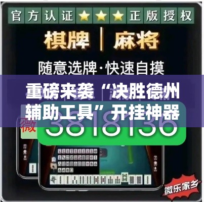 重磅来袭“决胜德州辅助工具	”开挂神器