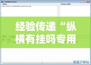经验传递“纵横有挂吗专用软件	”用挂教程