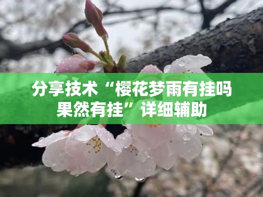 分享技术“樱花梦雨有挂吗果然有挂”详细辅助