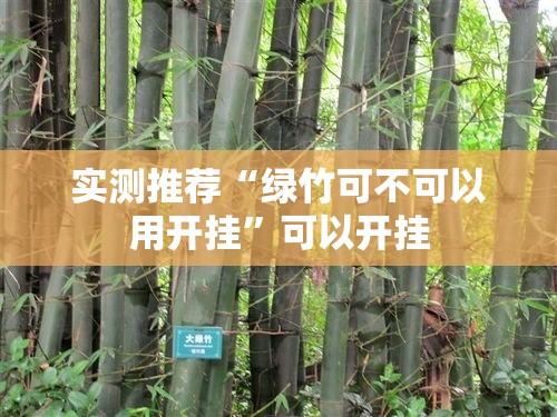 实测推荐“绿竹可不可以用开挂”可以开挂