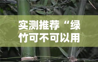 实测推荐“绿竹可不可以用开挂”可以开挂