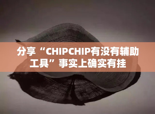 分享“CHIPCHIP有没有辅助工具”事实上确实有挂