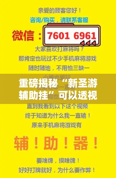 重磅揭秘“新圣游辅助挂	”可以透视