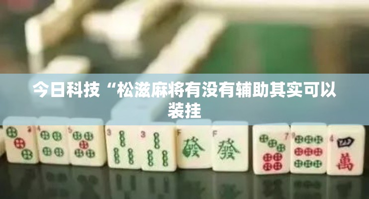 今日科技“松滋麻将有没有辅助其实可以装挂