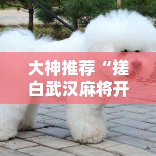 大神推荐“搓白武汉麻将开挂需要多少钱”的确可以开挂
