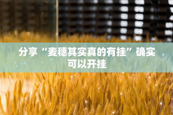 分享“麦穗其实真的有挂”确实可以开挂
