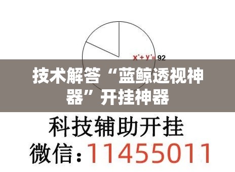 技术解答“蓝鲸透视神器”开挂神器