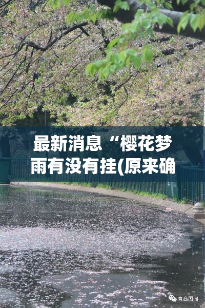 最新消息“樱花梦雨有没有挂(原来确实是有挂)