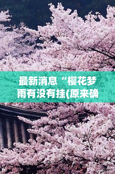 最新消息“樱花梦雨有没有挂(原来确实是有挂)