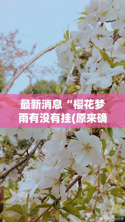 最新消息“樱花梦雨有没有挂(原来确实是有挂)