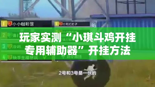 玩家实测“小琪斗鸡开挂专用辅助器”开挂方法