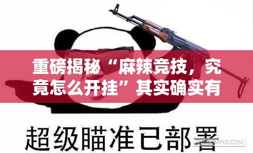 重磅揭秘“麻辣竞技	，究竟怎么开挂	”其实确实有挂
