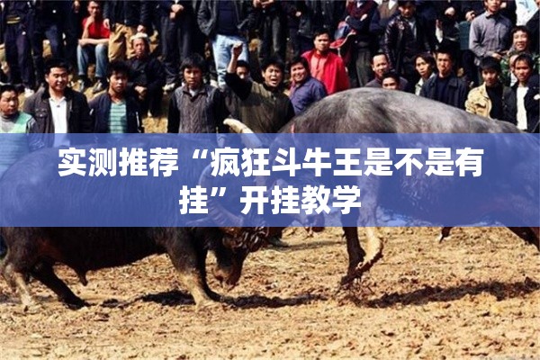 实测推荐“疯狂斗牛王是不是有挂”开挂教学