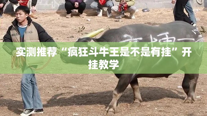 实测推荐“疯狂斗牛王是不是有挂”开挂教学