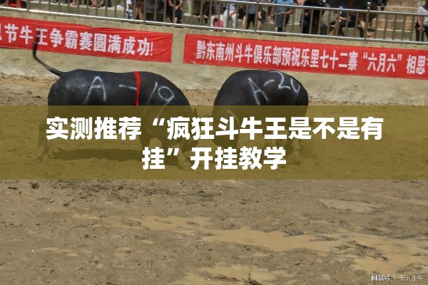 实测推荐“疯狂斗牛王是不是有挂”开挂教学