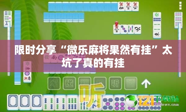 限时分享“微乐麻将果然有挂”太坑了真的有挂