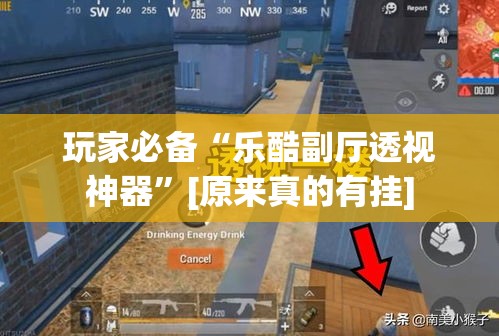 玩家必备“乐酷副厅透视神器”[原来真的有挂]