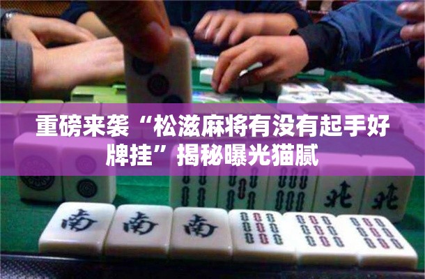 重磅来袭“松滋麻将有没有起手好牌挂”揭秘曝光猫腻
