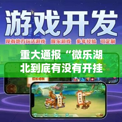 重大通报“微乐湖北到底有没有开挂器”(确实有挂)