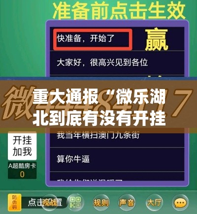 重大通报“微乐湖北到底有没有开挂器”(确实有挂)