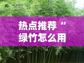 热点推荐“绿竹怎么用挂”开挂步骤方法