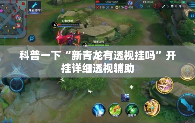 科普一下“新青龙有透视挂吗”开挂详细透视辅助