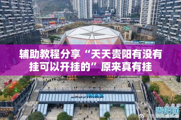 辅助教程分享“天天贵阳有没有挂可以开挂的”原来真有挂
