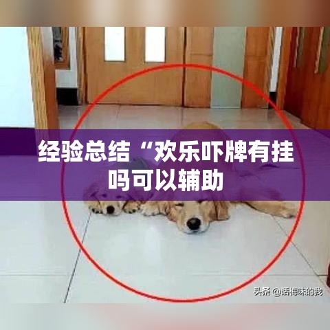 经验总结“欢乐吓牌有挂吗可以辅助 经验总结“欢乐吓牌有挂吗可以辅助