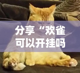分享“欢雀可以开挂吗事实上确实有挂