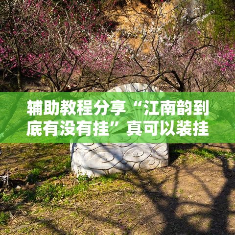 辅助教程分享“江南韵到底有没有挂”真可以装挂