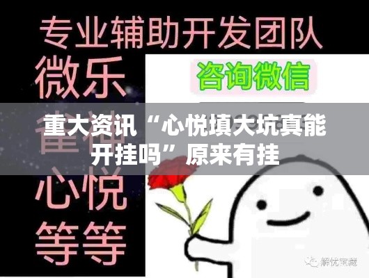 重大资讯“心悦填大坑真能开挂吗	”原来有挂