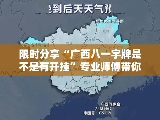 限时分享“广西八一字牌是不是有开挂”专业师傅带你了解