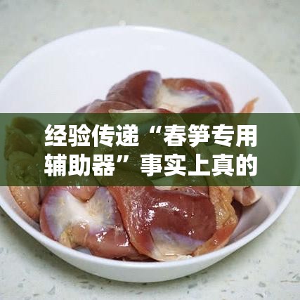 经验传递“春笋专用辅助器”事实上真的有挂