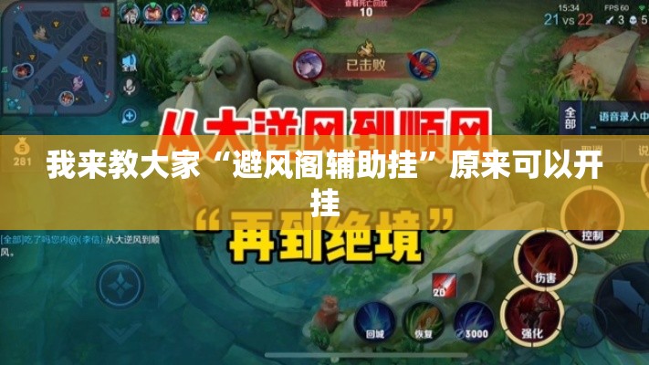 我来教大家“避风阁辅助挂	”原来可以开挂