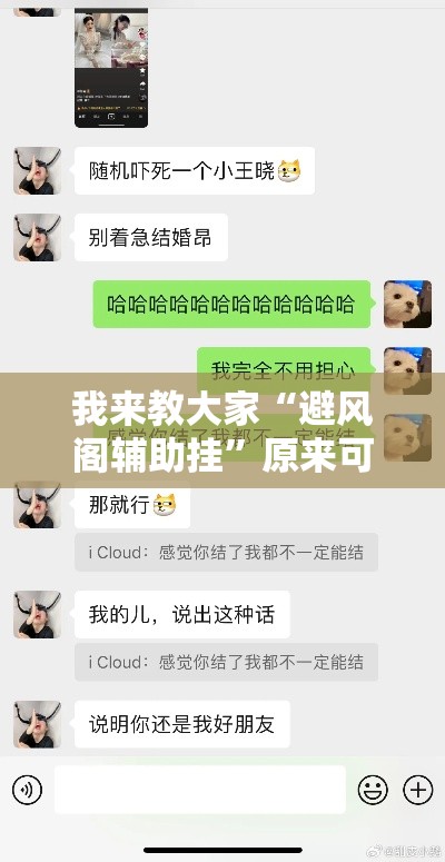 我来教大家“避风阁辅助挂	”原来可以开挂