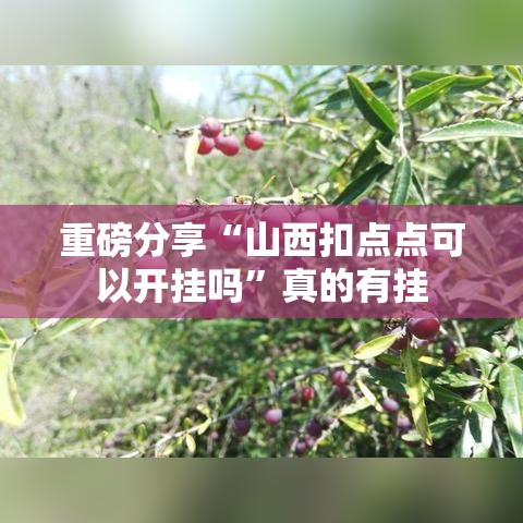 重磅分享“山西扣点点可以开挂吗	”真的有挂