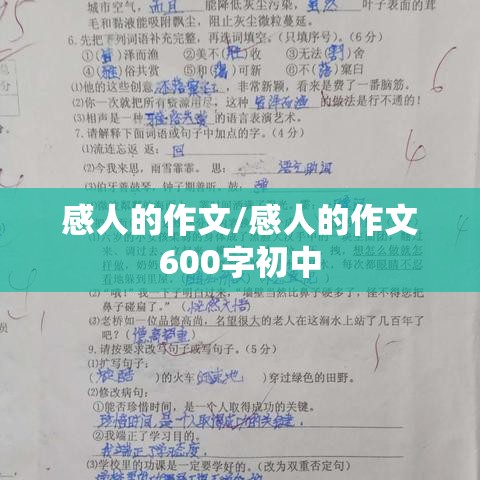 感人的作文/感人的作文600字初中