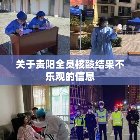关于贵阳全员核酸结果不乐观的信息