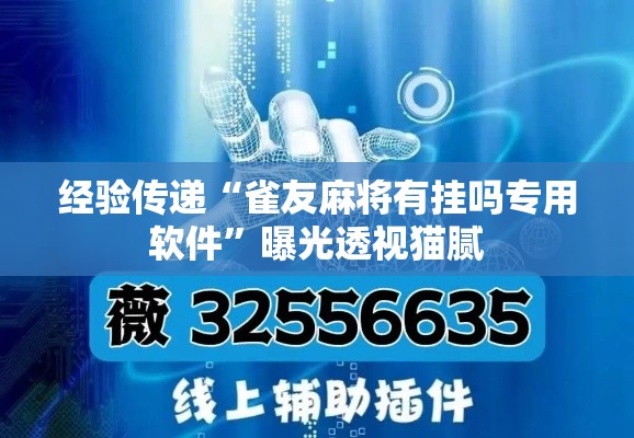 经验传递“雀友麻将有挂吗专用软件”曝光透视猫腻